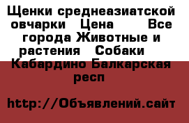 Щенки среднеазиатской овчарки › Цена ­ 1 - Все города Животные и растения » Собаки   . Кабардино-Балкарская респ.